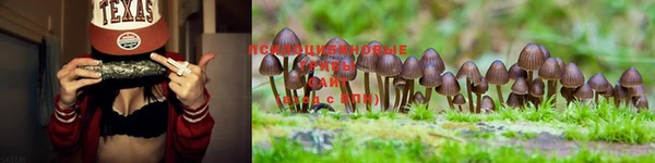 синтетический гашиш Абдулино