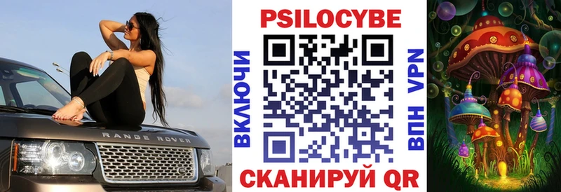 Галлюциногенные грибы Psilocybe  мега рабочий сайт  Аксай  сколько стоит 
